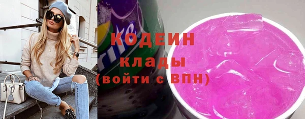 твердый Бердск