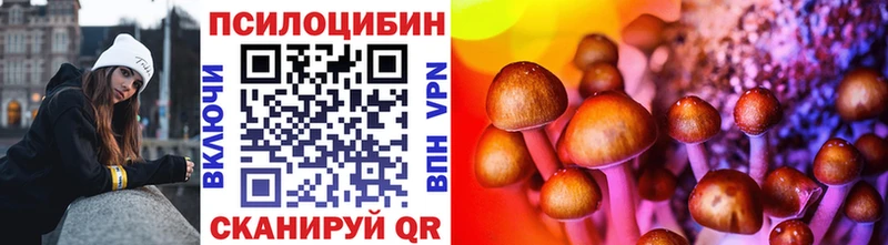 Галлюциногенные грибы мицелий  где купить наркоту  Жуков 
