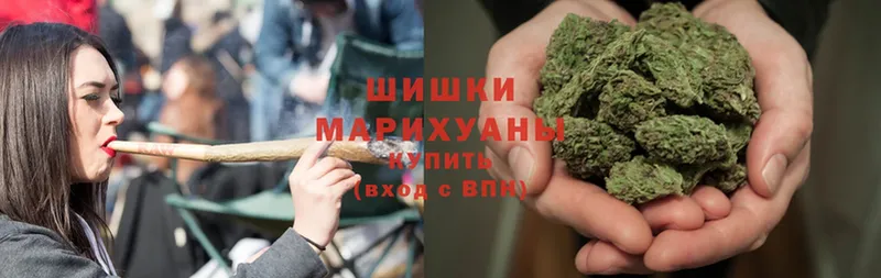 Бошки Шишки Bruce Banner  Жуков 